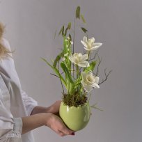 Пульс весны
