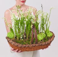Авторская композиция из ландышей в корзине